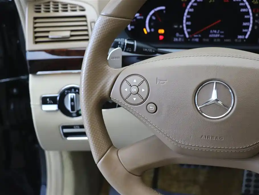 Mercedes-Benz S-Class AMG 2010 AMG S 65 фото 18