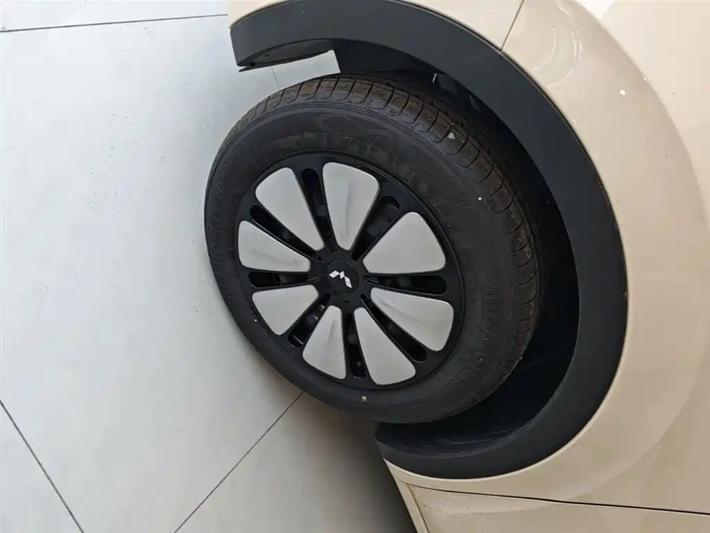 Wuling Motors Wuling Bingo 2026 2025 Model 333km Joy Edition
