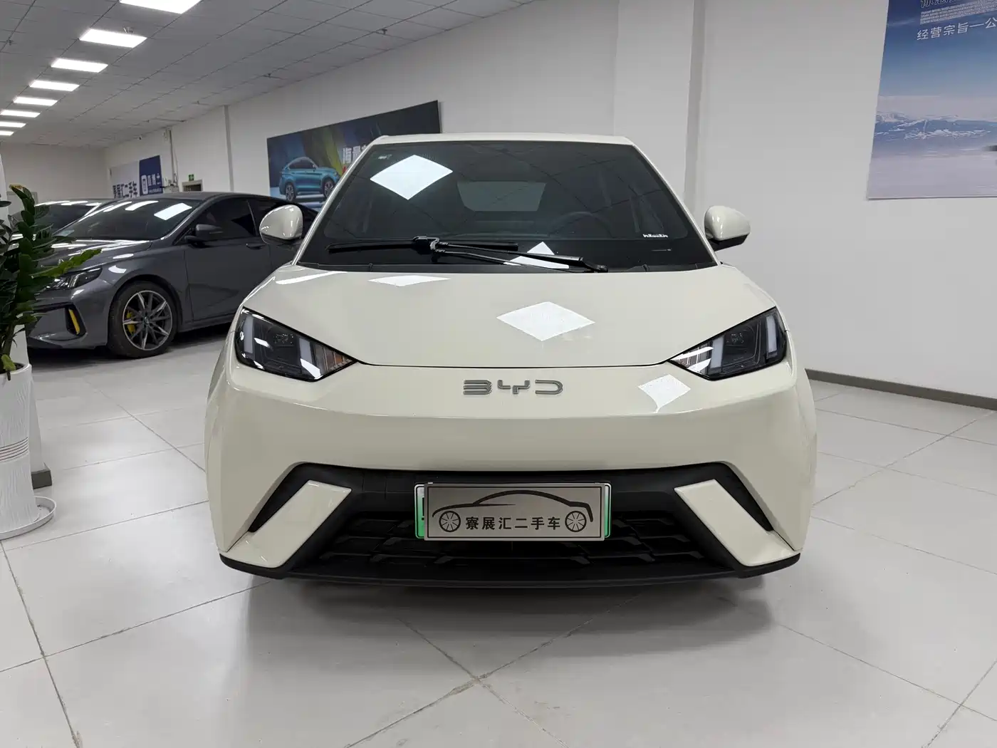 BYD Seagull 2025 305km Vitality фото 2