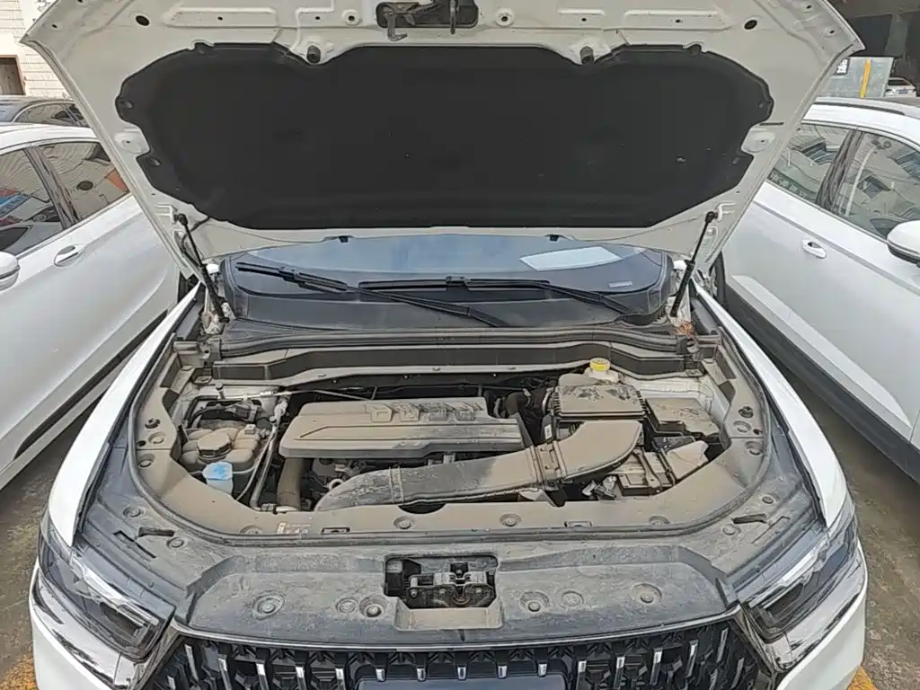 Haval H6 2025 2023 National Trend Edition 1.5T Automatic Urban