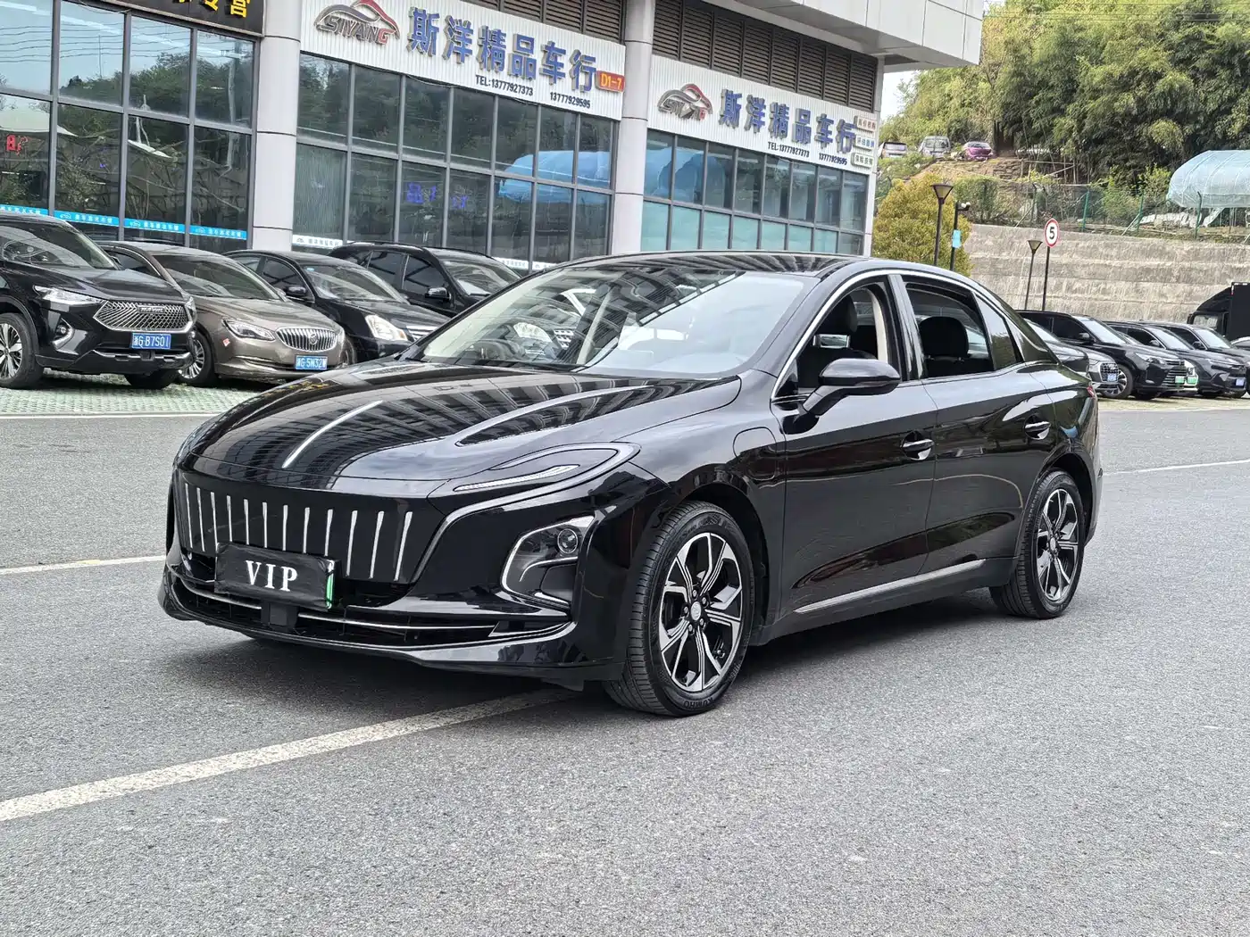 Hongqi HONGQI E QM5