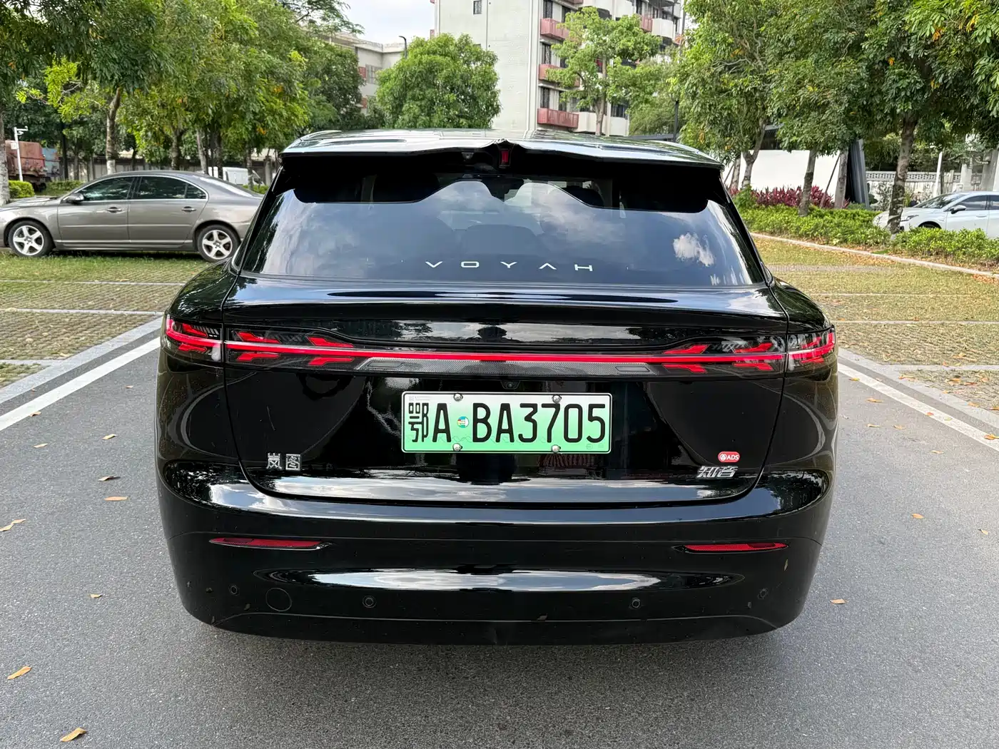 Voyah Auto Voyah Zhiyin 2025 Base фото 2