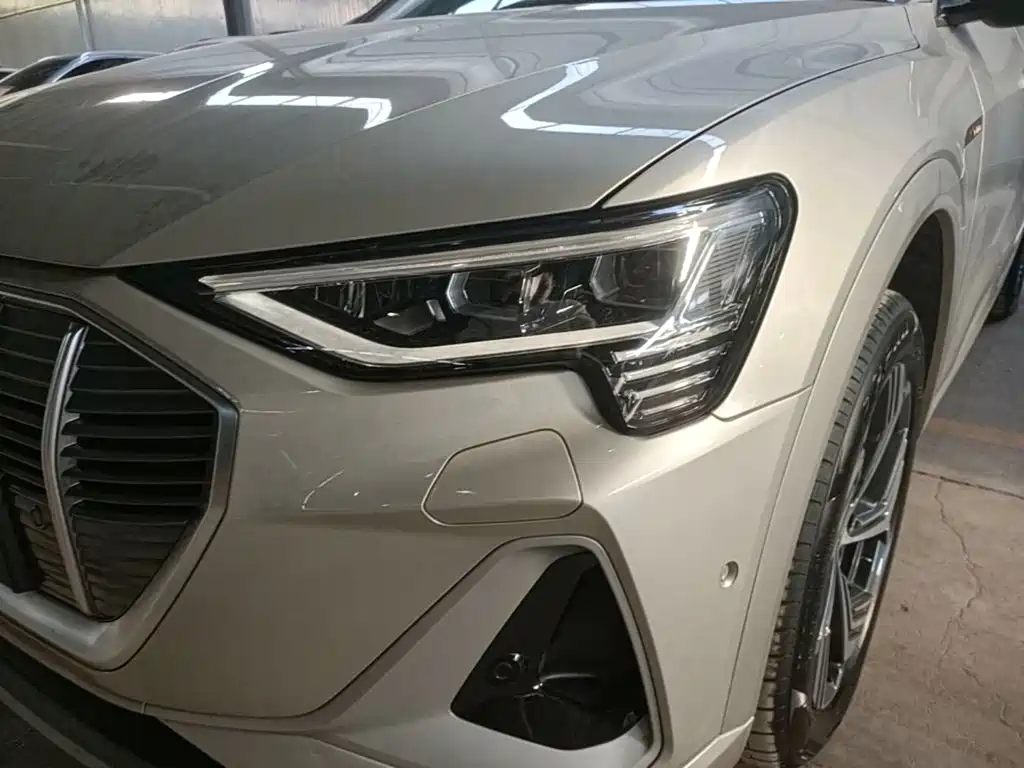 Audi e-tron 2024 2021 50 quattro Exclusive Selection