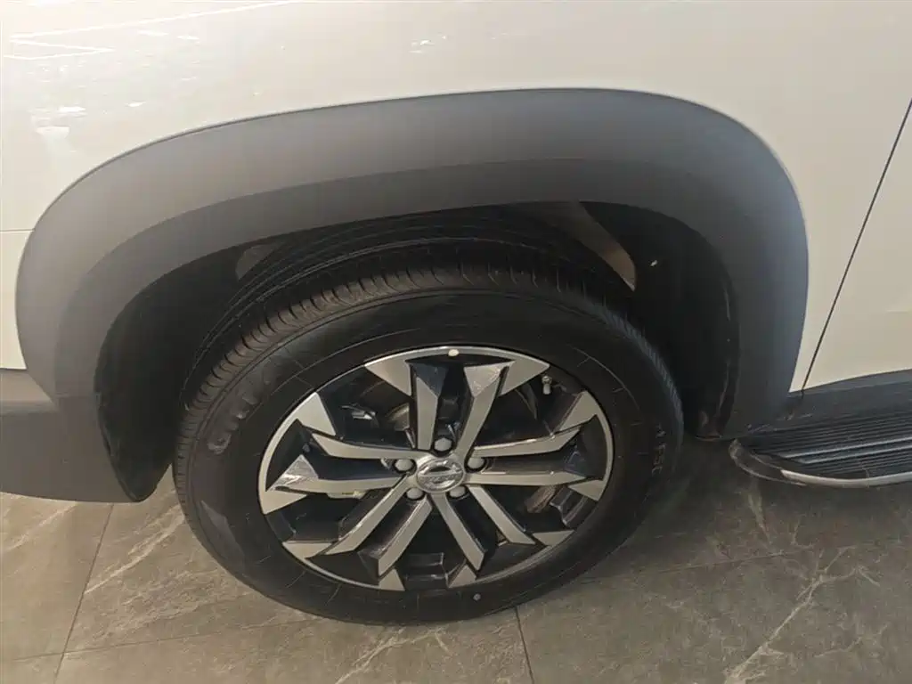 Haval Big Dog 2022 1.5T DCT FWD Border Collie Edition фото 23