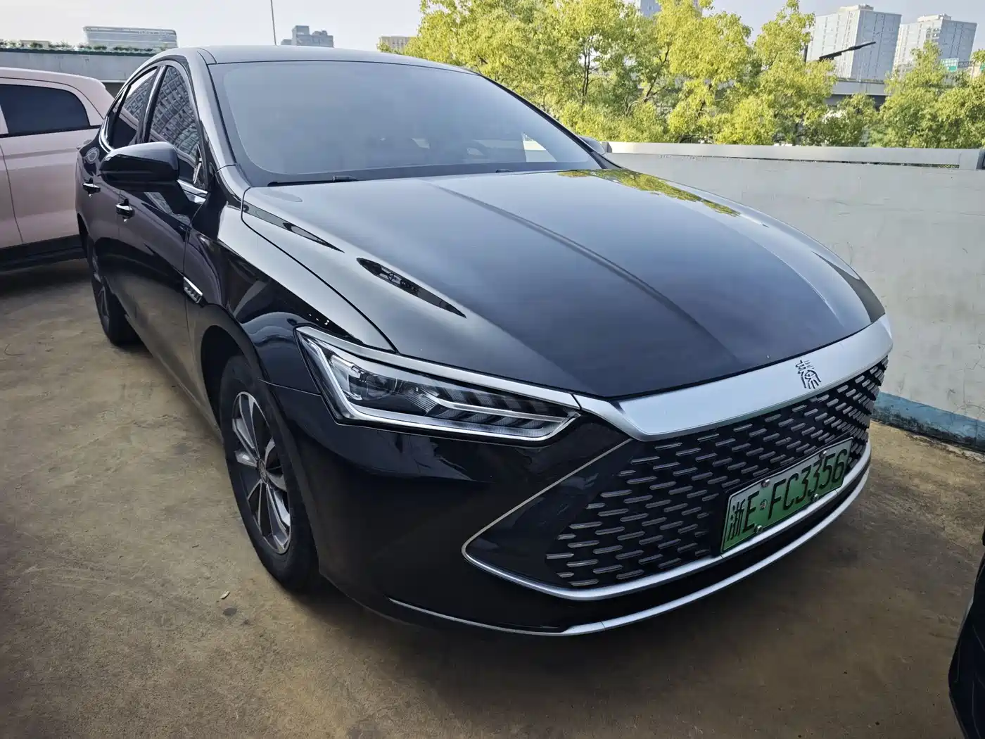 BYD Qin PLUS 2024 Glory Edition DM-i 55KM Surpass фото 4