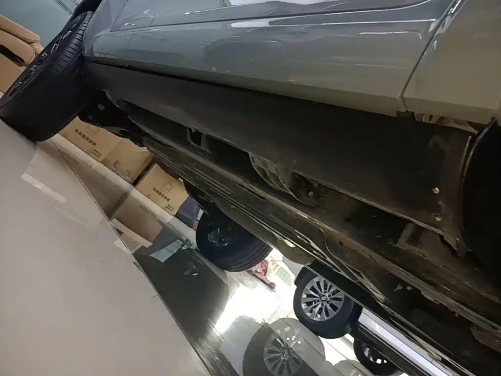 Tank 700 New Energy 2026 2024 Hi4-T Launch Limited Edition