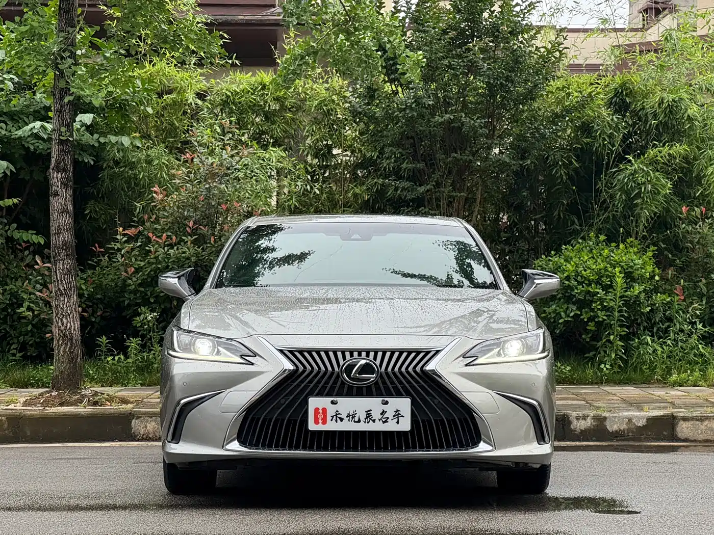 Lexus ES 2021 200 Excellence Edition фото 14