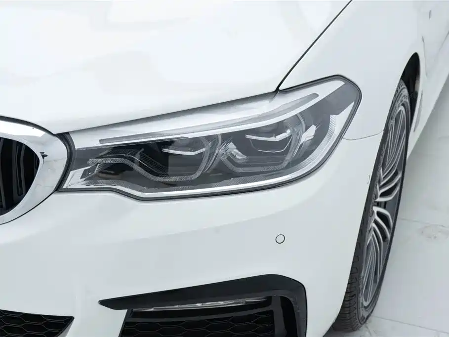 BMW 5 Series 2018 530Li Premium M Sport Package фото 11