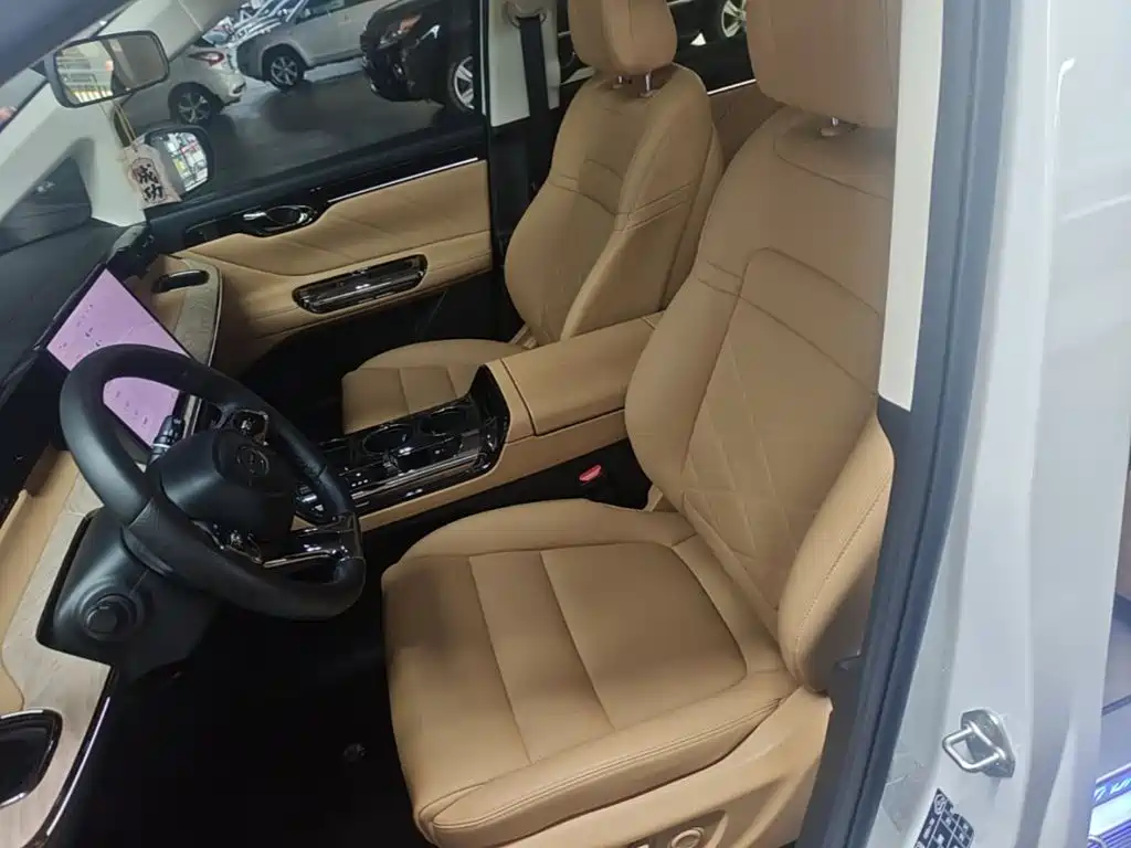 صورة 15 - GAC Trumpchi Trumpchi E8 NEV