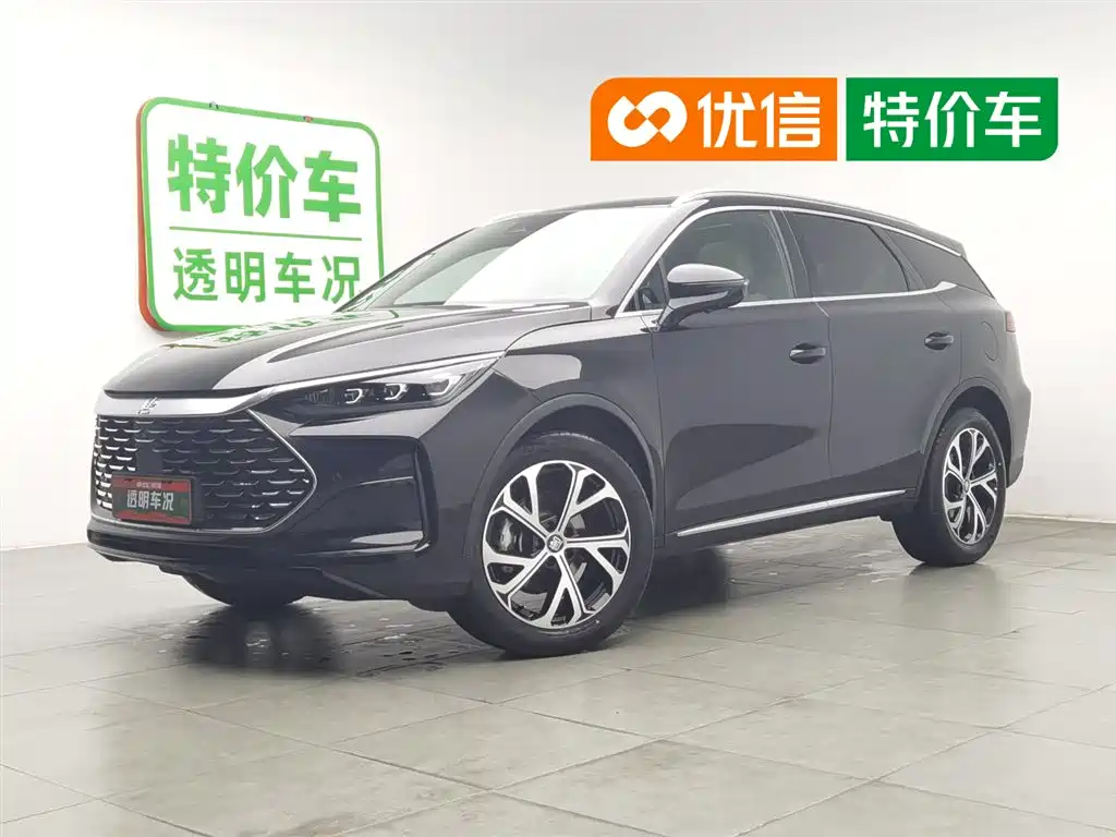 BYD Tang New Energy 2025 DM-i 115KM Prestige Type