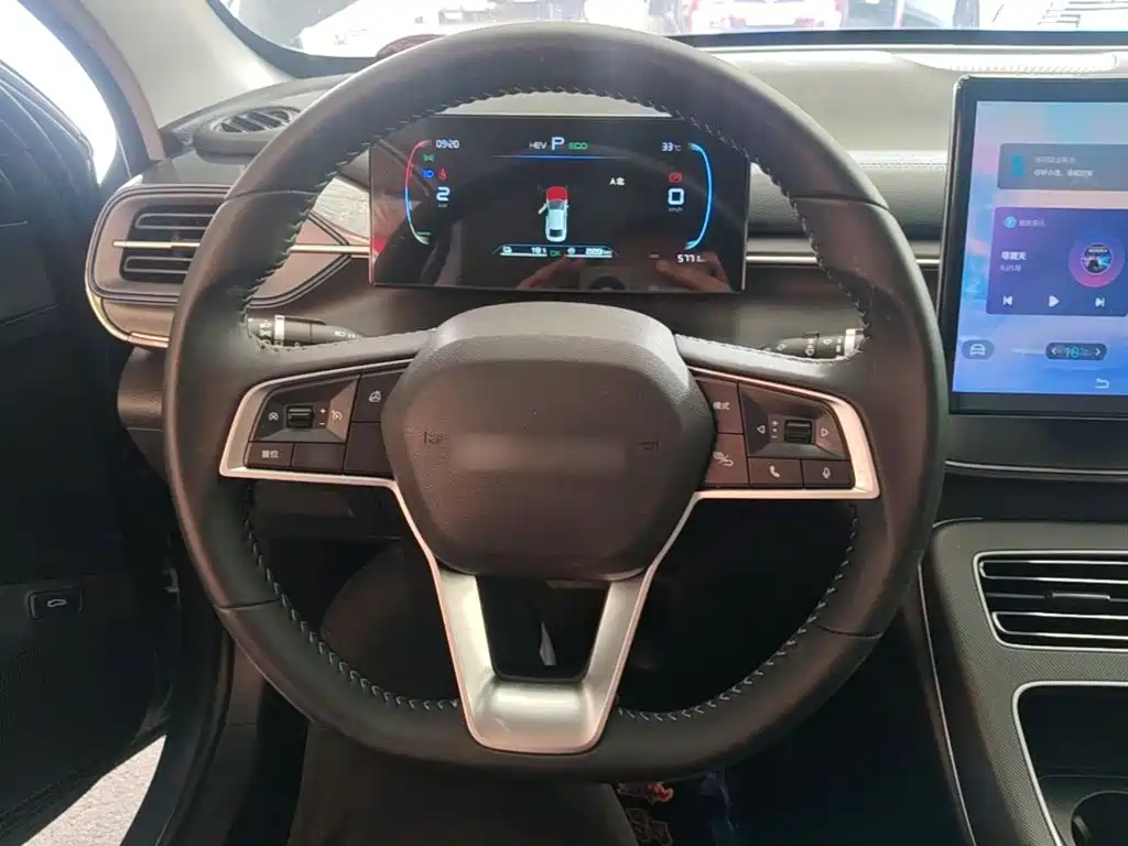 BYD Destroyer 05 2025 2024 Glory Edition DM-i 55KM Luxury