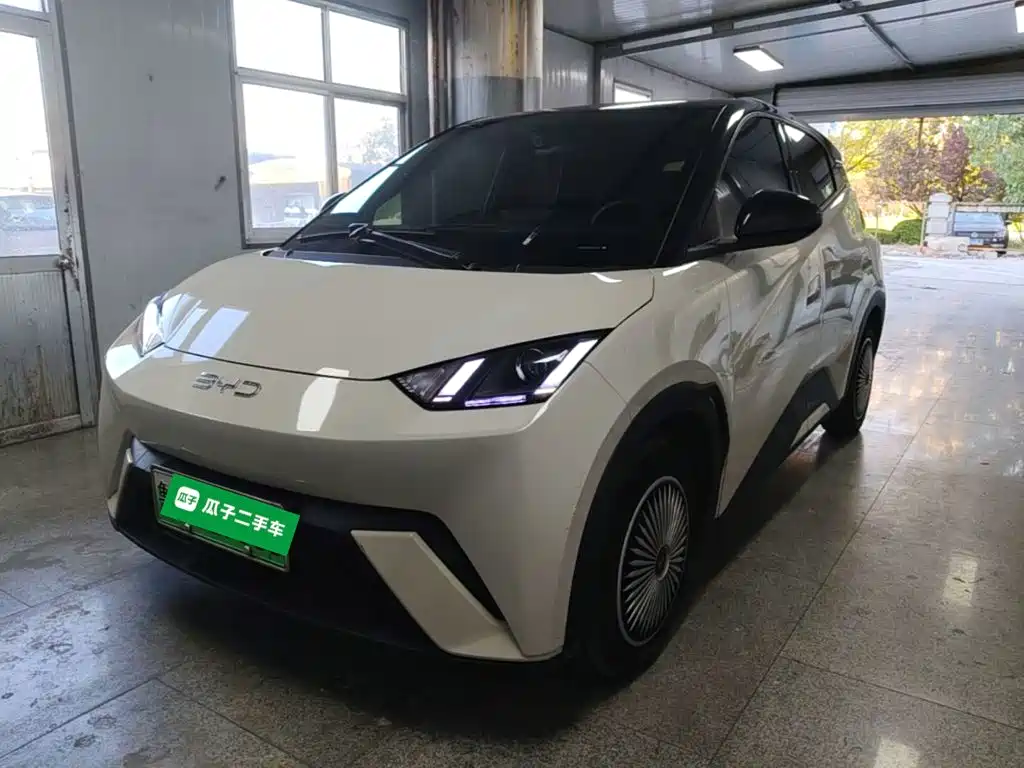 BYD Seagull 2024 Glory Edition 305km Vitality Edition