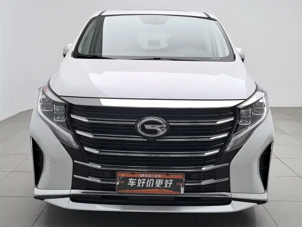 GAC Trumpchi Trumpchi M8 2021 Leading Show Series 390T Ultimate Edition фото 3