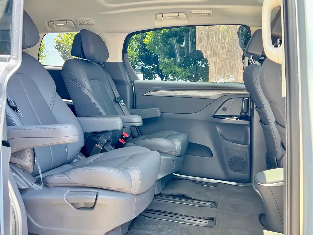 Buick GL8 New Energy 2025 Landlux Smart Edition 7-seater фото 6