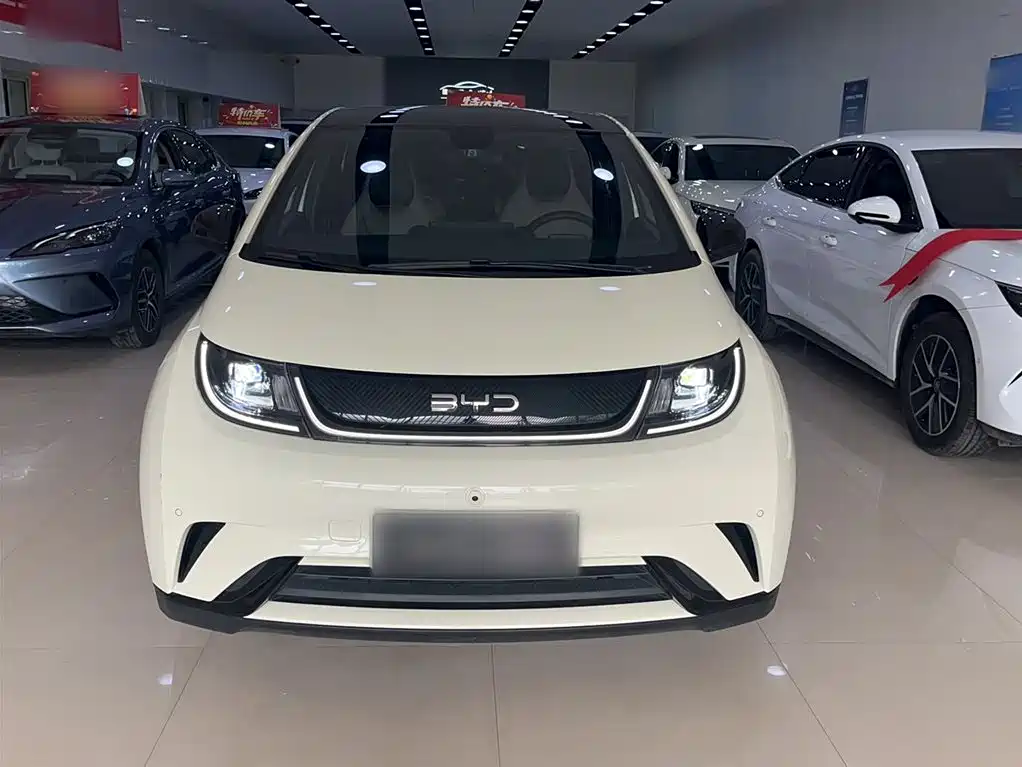 BYD Dolphin 2025 420km Fashion Edition фото 3