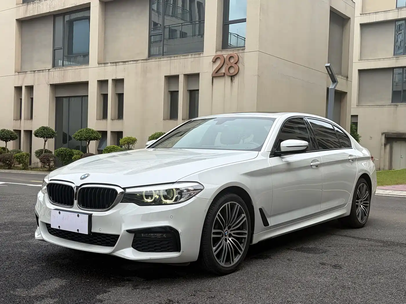 BMW 5 Series 2019 530Li Leading M Sport Package