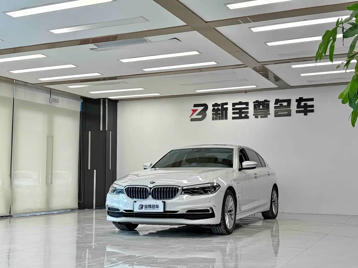 BMW 5 SERIES NEW ENERGY