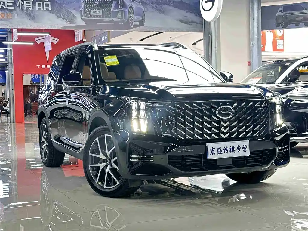 GAC Trumpchi Trumpchi GS8 2025 Pilot Series 2.0TGDI 2WD Luxury Edition 5-seater фото 5