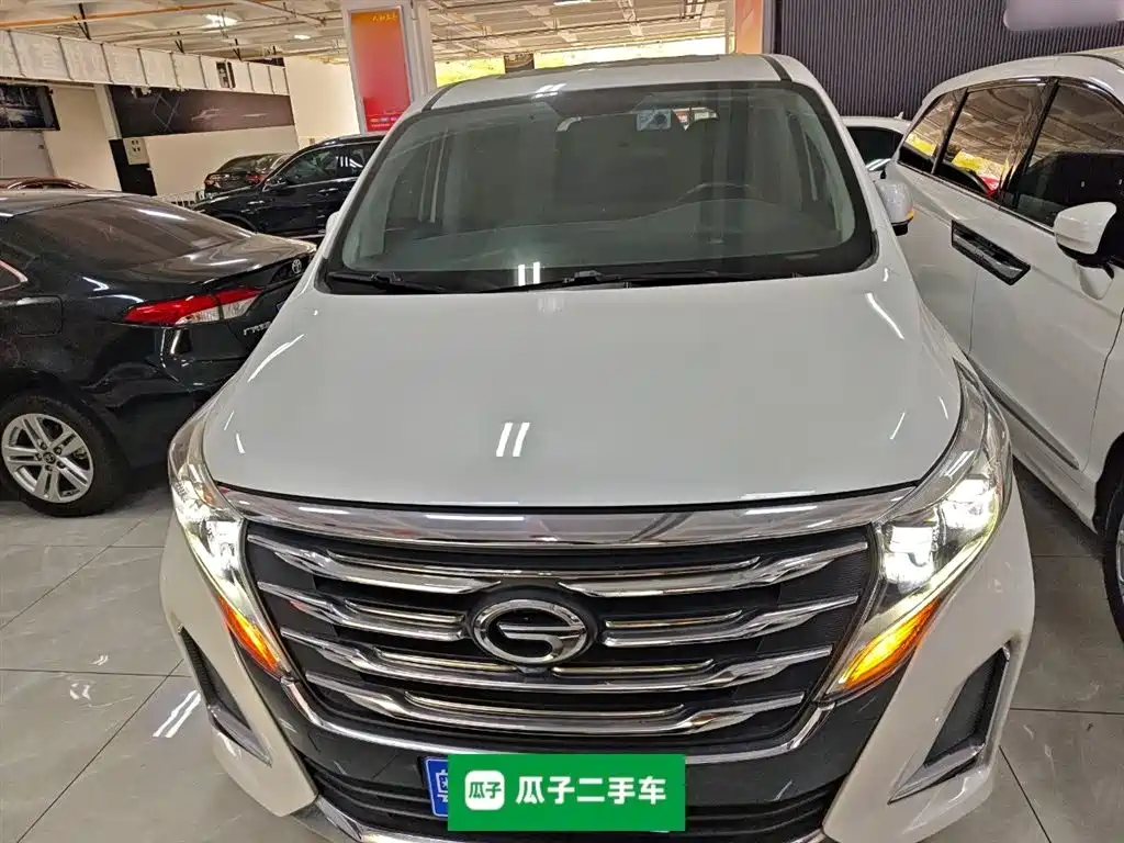 GAC Trumpchi Trumpchi M8 2020 Pilot 390T Premium Edition фото 3