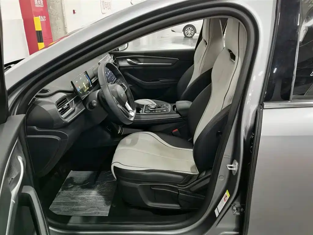 BYD Destroyer 05 2024 Glory Edition DM-i 55KM Luxury фото 10