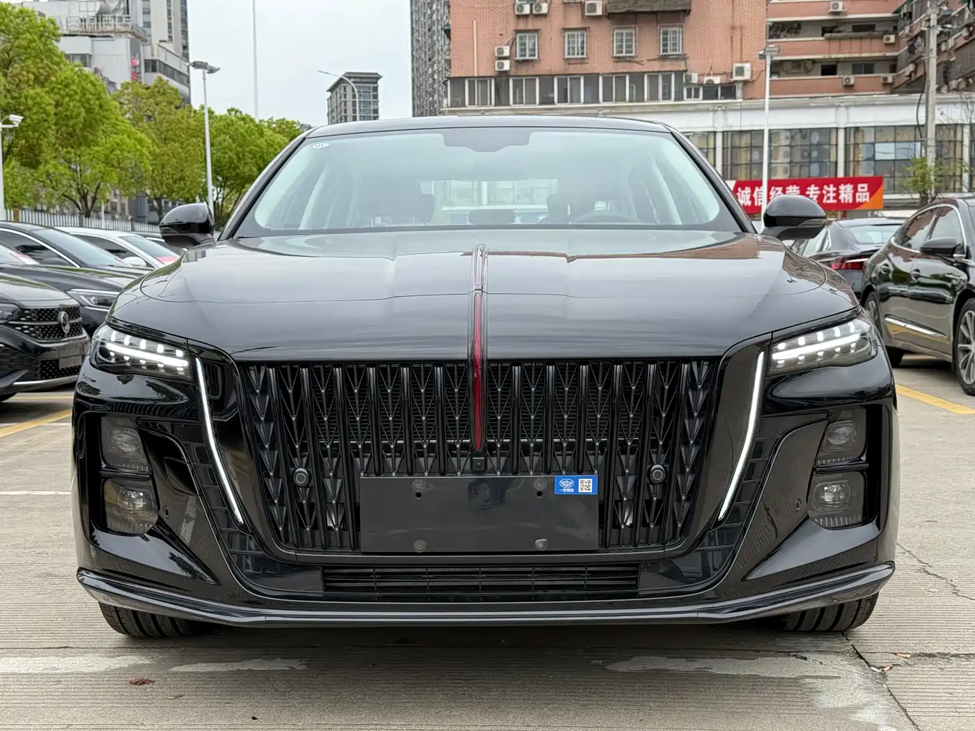 Hongqi H5 2025 1.5T DCT Mystic Shadow 2 Million Edition фото 2