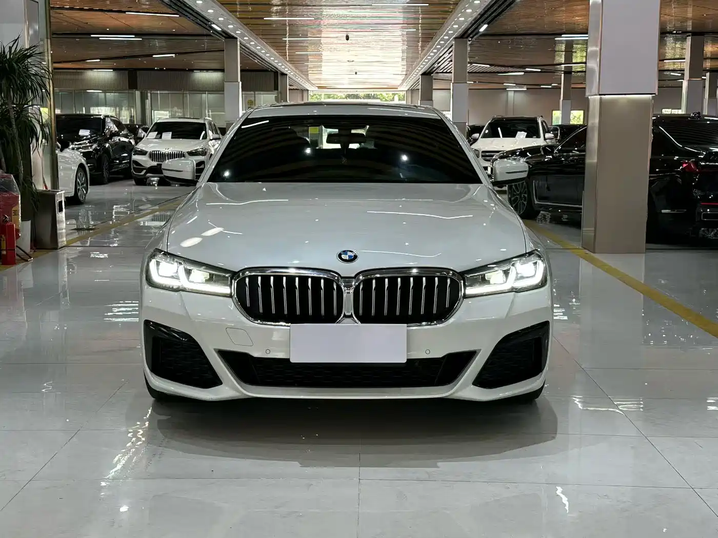 BMW 5 SERIES