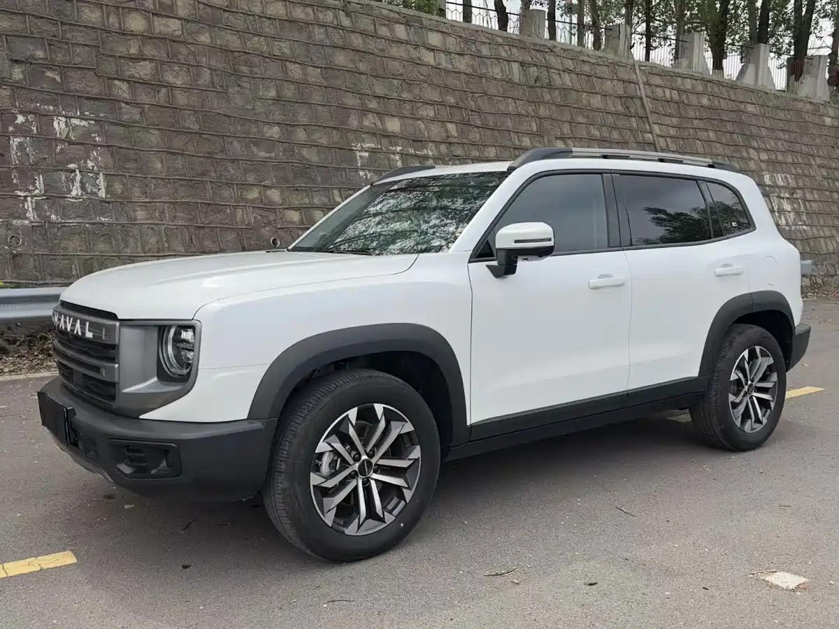 Haval Big Dog 2024 Model 1.5T DCT Labrador Edition