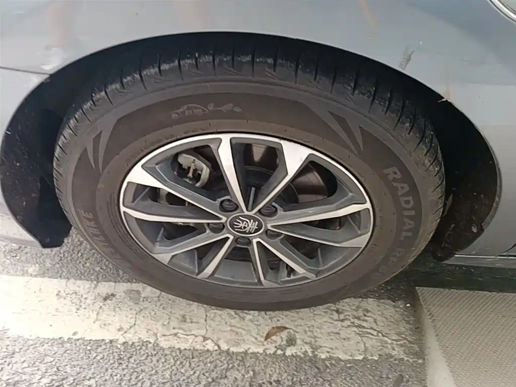 BYD Qin PLUS 2023 Champion Edition DM-i 55KM Leading фото 23
