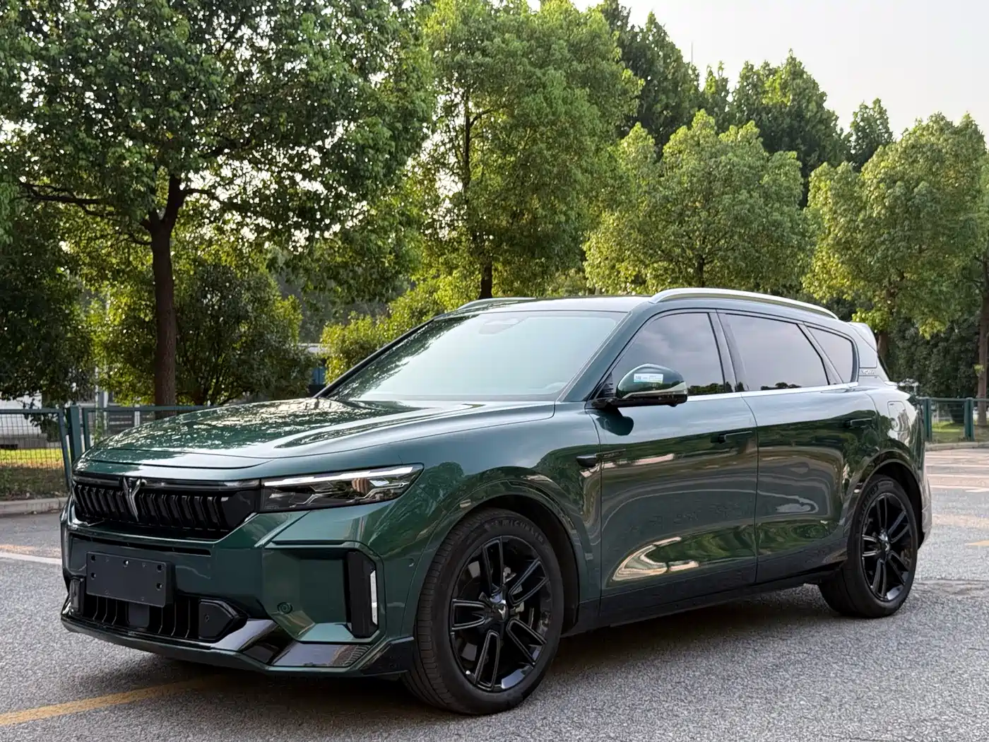 Voyah Auto VOYAH FREE 2024 Ultra Long Range Intelligent Driving Edition