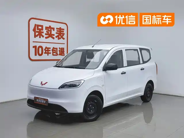  Wuling Motors Wuling Hongguang New Energy 2024 Pure Electric 300KM Standard
