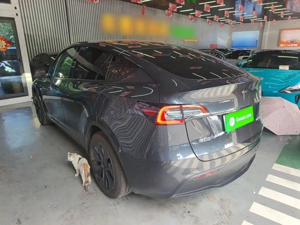 Фото 5 - Tesla Model Y