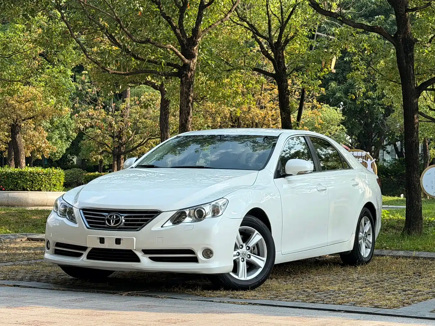 Toyota Reiz 2008 2.5S Special Navigation Edition