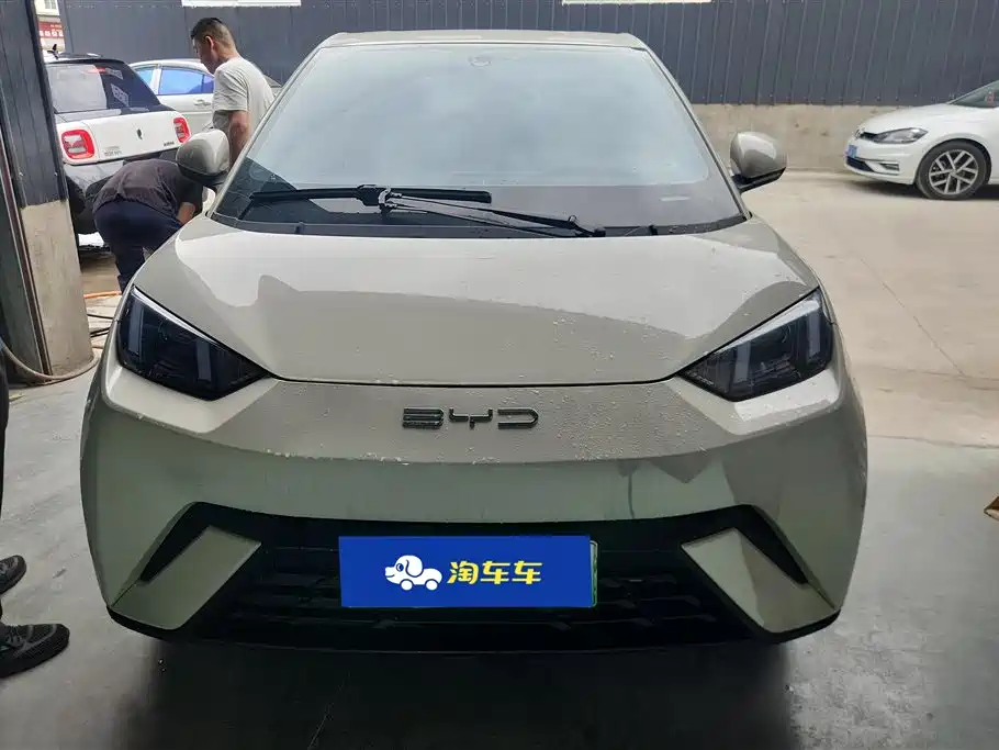 BYD Seagull 2024 Glory Edition 305km Vitality Edition фото 2