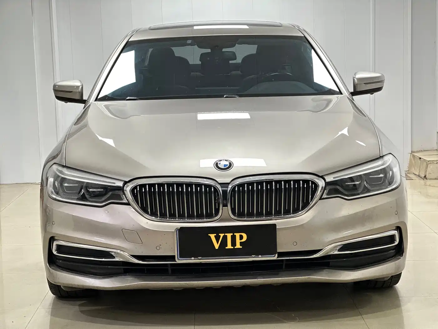 BMW 5 Series 2020 530Li Leading Luxury Package фото 2