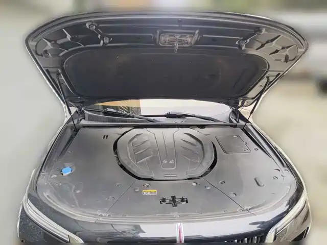 Hongqi H9 2020 3.0T Smart Connection Qi Chang Edition — фото 3