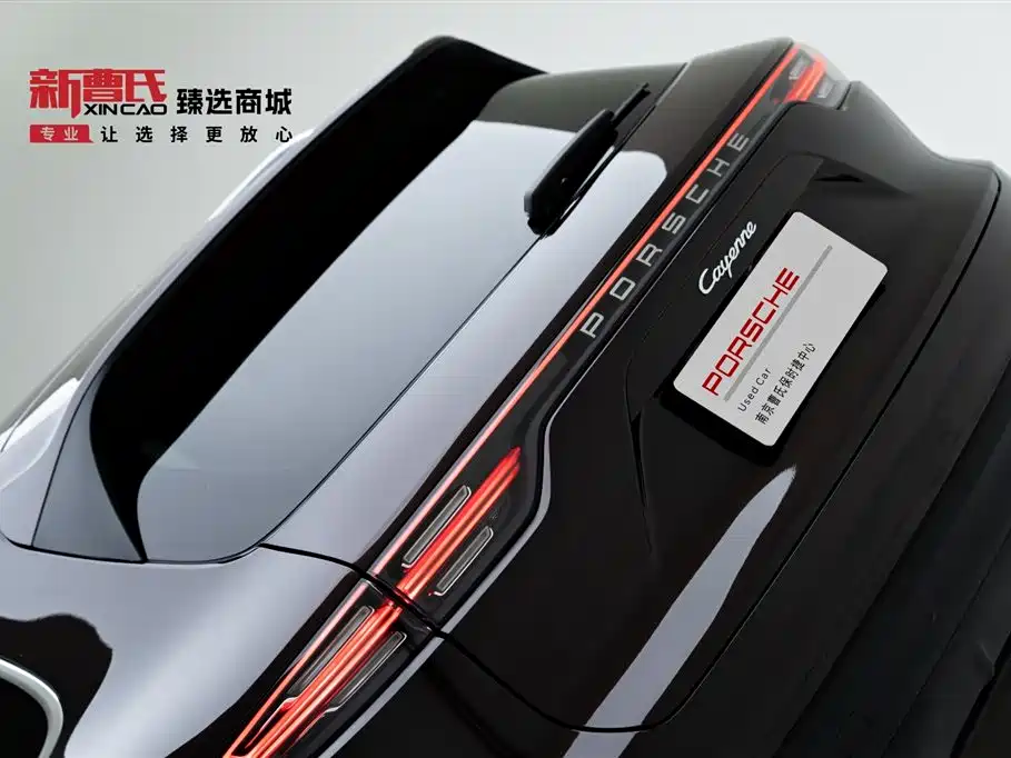 Porsche Cayenne 2022 Cayenne 3.0T Platinum Edition фото 8