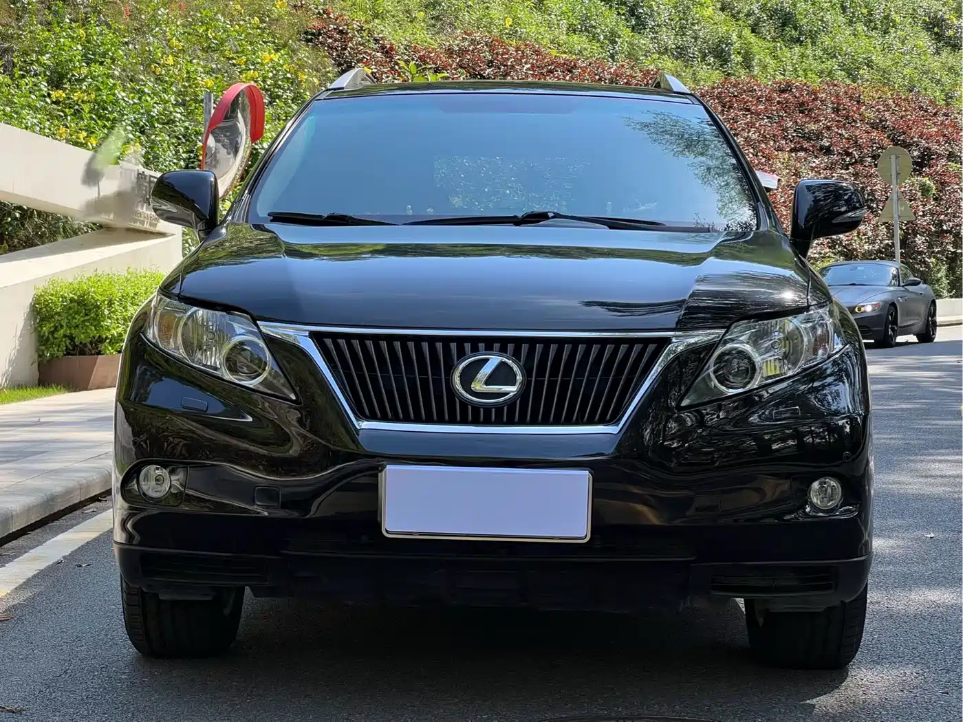 Lexus RX Classic 2011 270 Luxury фото 2