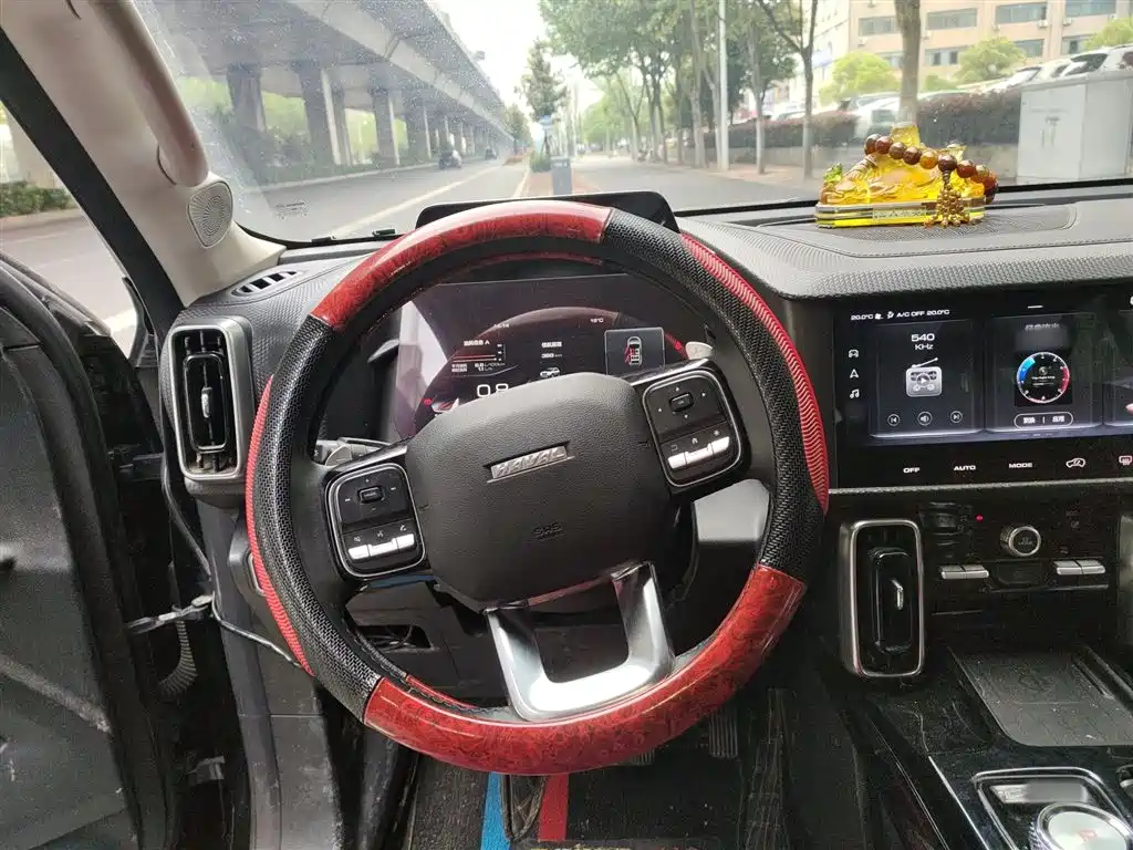 Haval Big Dog 2022 1.5T DCT FWD Border Collie Edition фото 6
