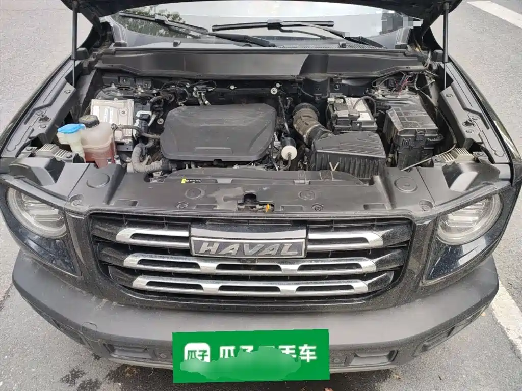 Haval Big Dog 2022 1.5T DCT FWD Border Collie Edition фото 16