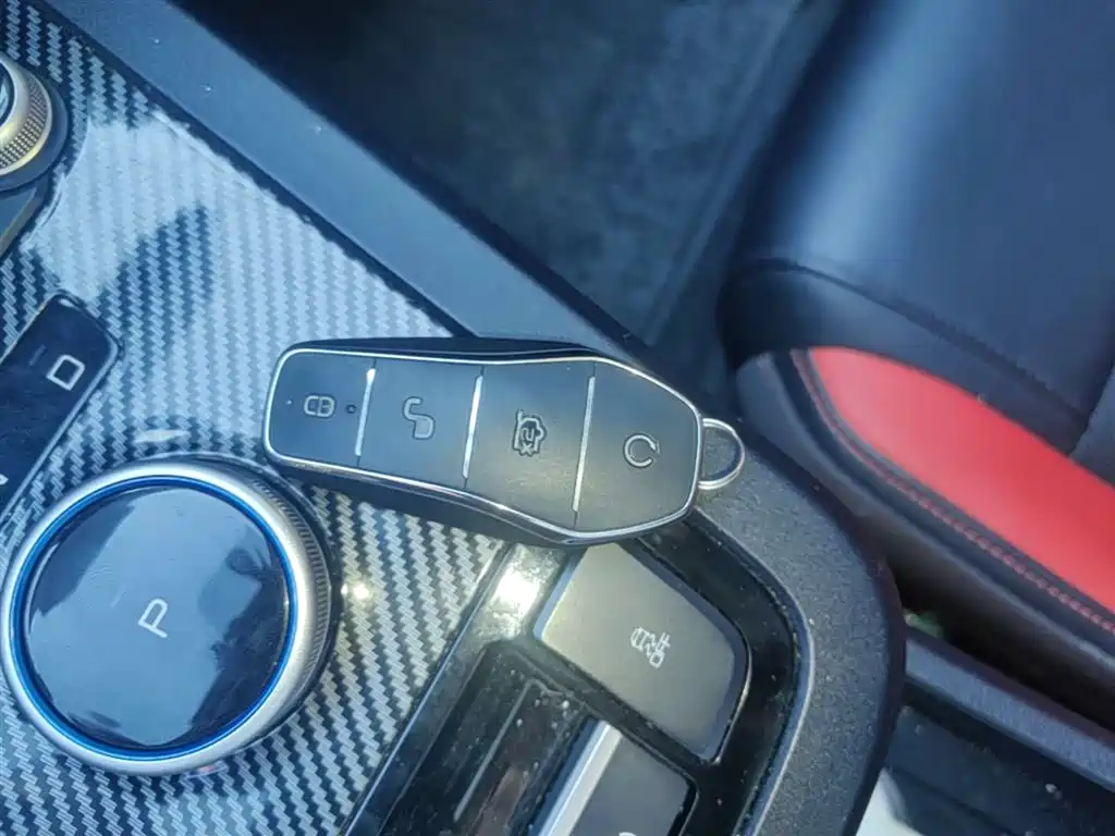 BYD e2 2020 Upgraded Long Range Luxury фото 9