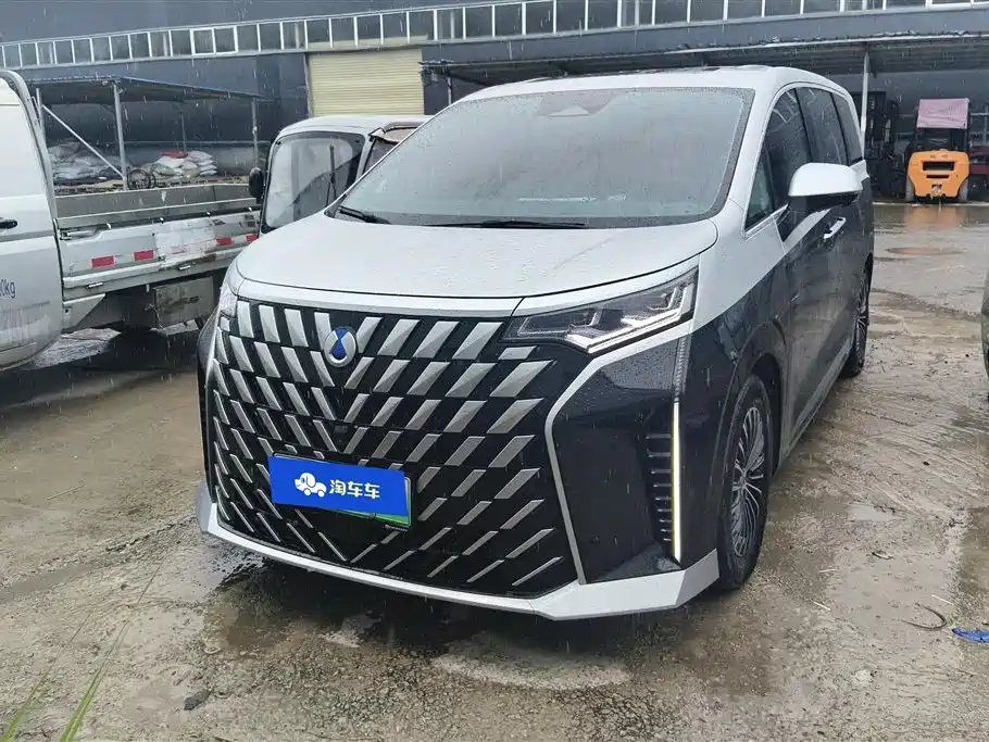 Denza D9 2022 DM-i 970 All-Wheel Drive Honor Edition фото 2