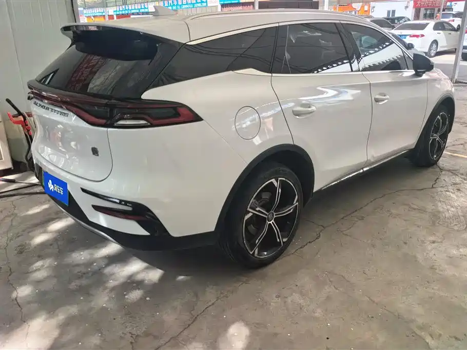 BYD Tang New Energy 2021 DM-i 112KM Premium фото 3