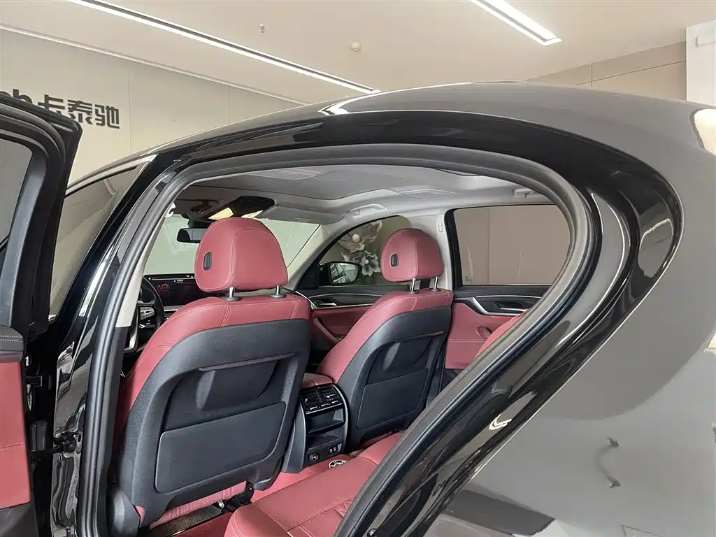 BMW 5 Series 2021 530Li xDrive Luxury Package фото 24