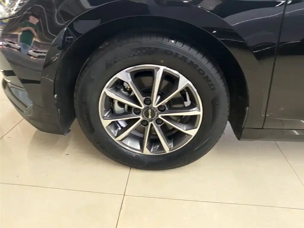 BYD Destroyer 05 2024 Glory Edition DM-i 55KM Luxury фото 23
