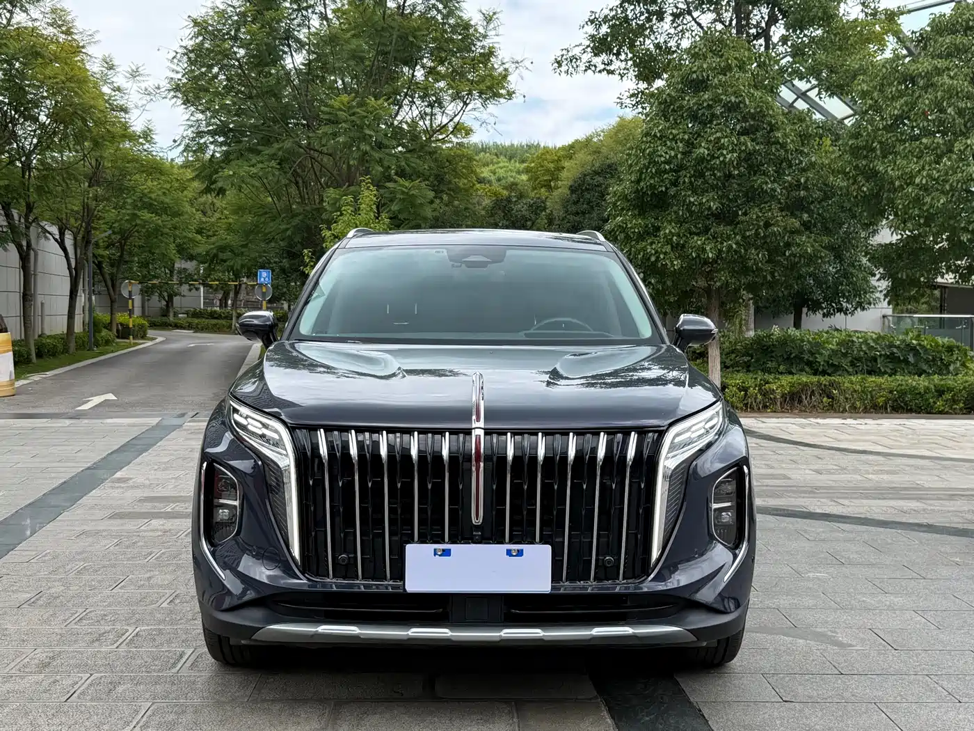 2023 Hongqi HS7