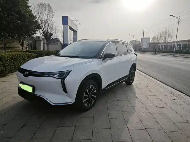 weltmeister weima-w6