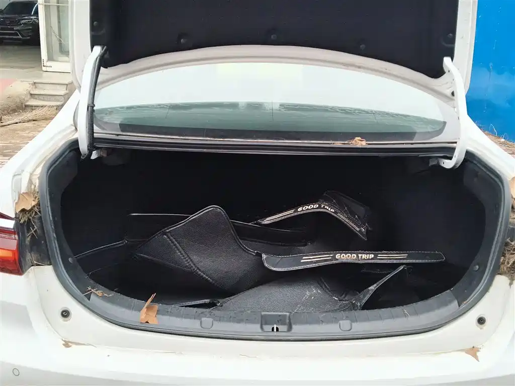 BYD Qin 2019 1.5L Automatic Prestige фото 15