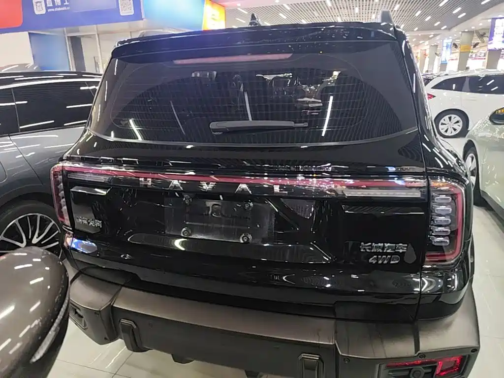 Фото 6 - Haval Dargo