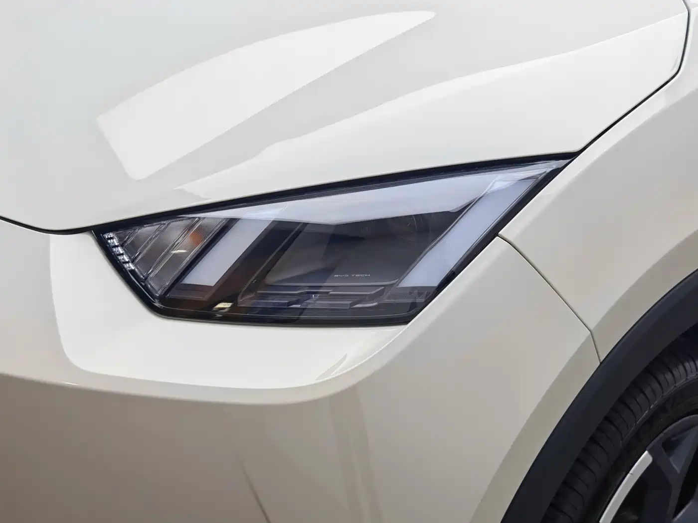 BYD Seagull 2025 Smart Drive Edition 305km Freedom Version фото 8