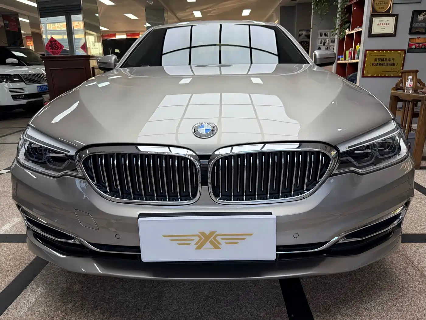 BMW 5 Series 2020 530Li xDrive Luxury Package фото 2